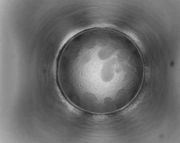 X0000095521046200712211258