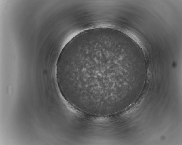 X0000095521047200712211258