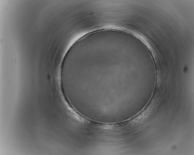 X0000095521048200712211258