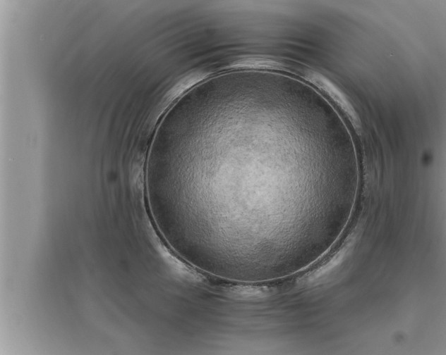 X0000095521049200712211258