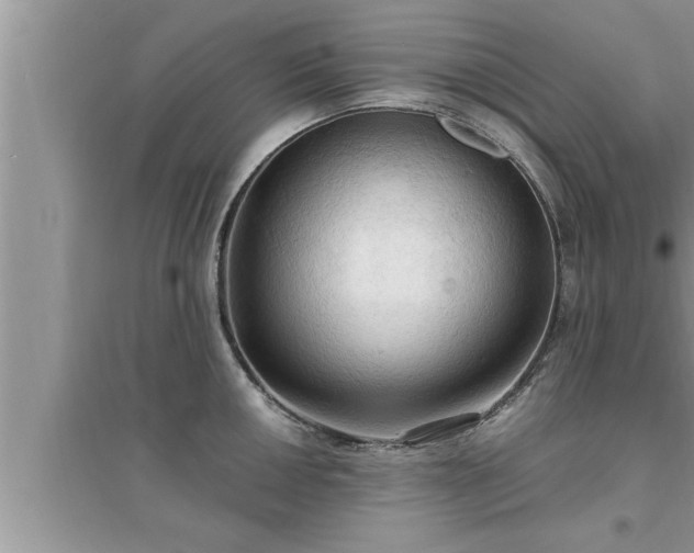 X0000095521050200712211258