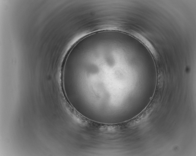 X0000095521051200712211258