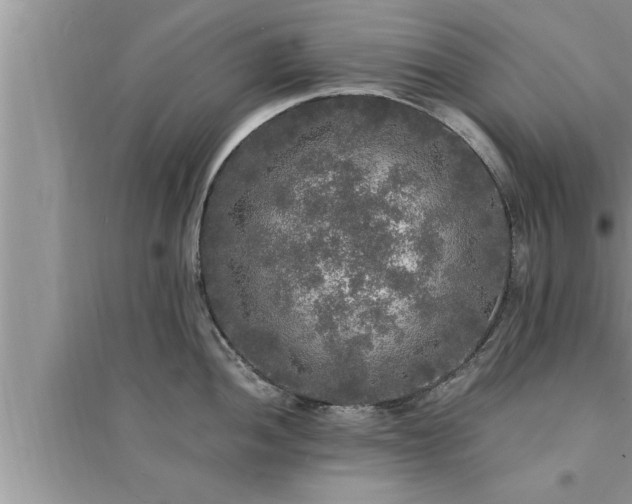 X0000095521052200712211258