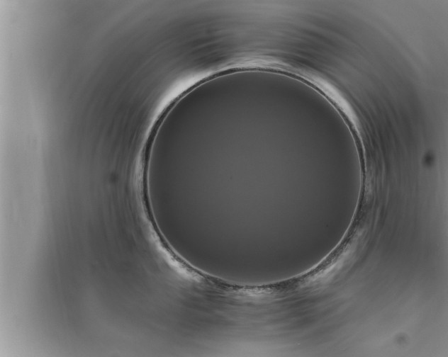 X0000095521053200712211258