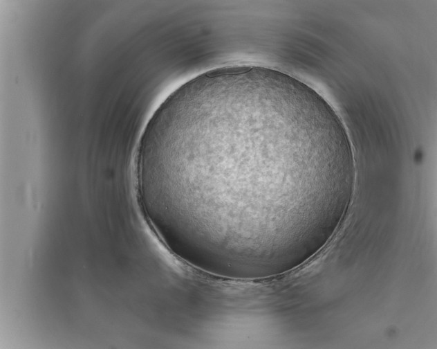 X0000095521056200712211258