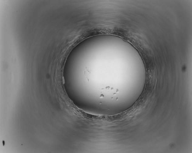 X0000095521057200712211258