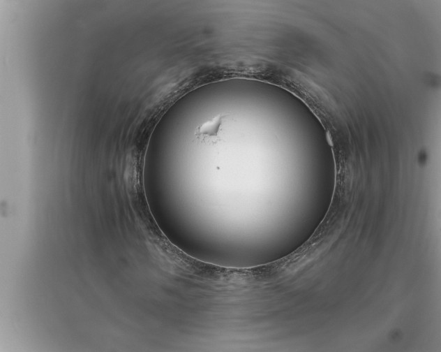 X0000095521058200712211258