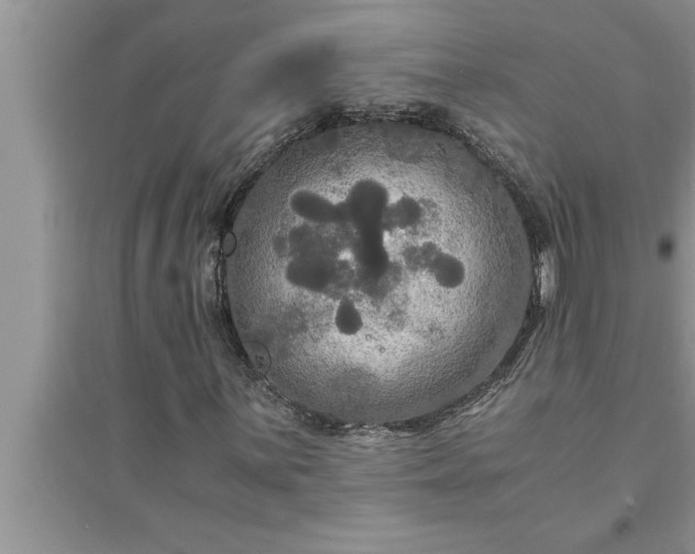 X0000095521059200712211258