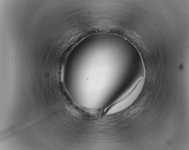 X0000095521060200712211258