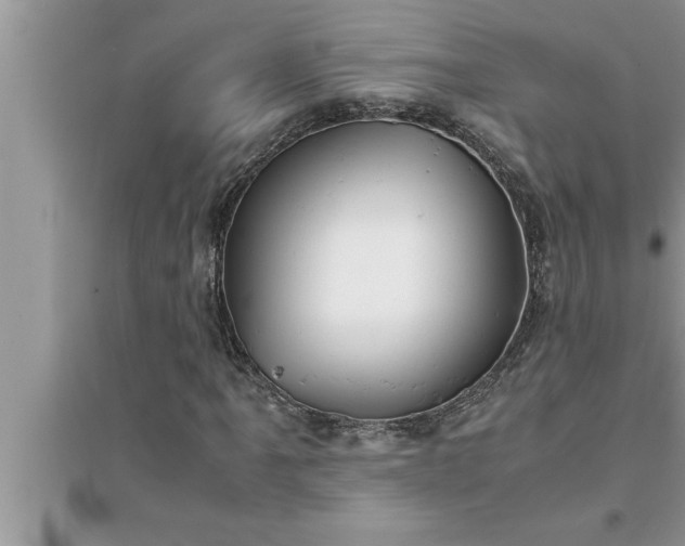 X0000095521061200712211258