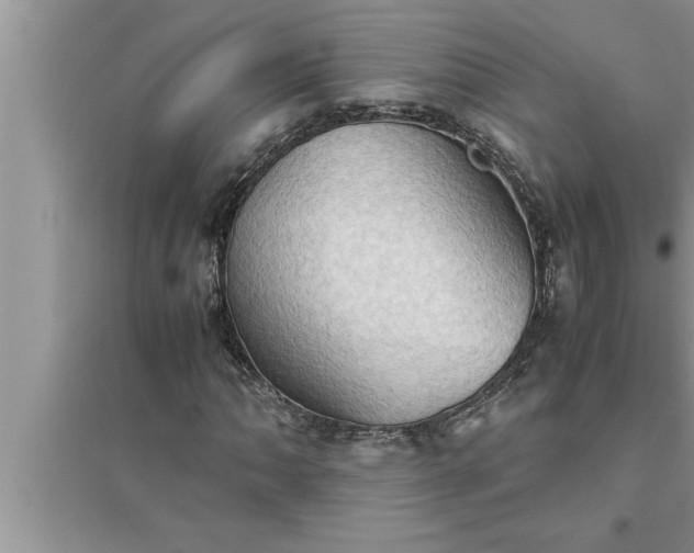 X0000095521062200712211258