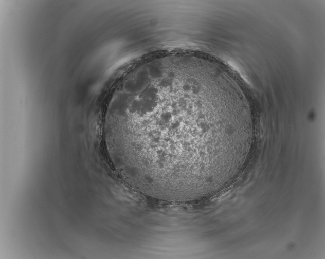 X0000095521063200712211258