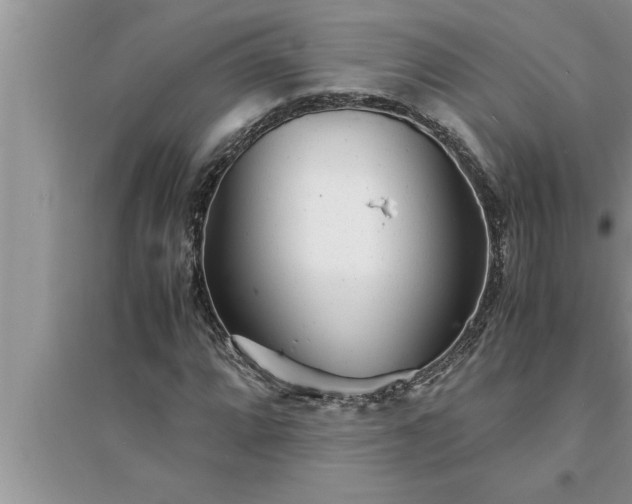 X0000095521064200712211258