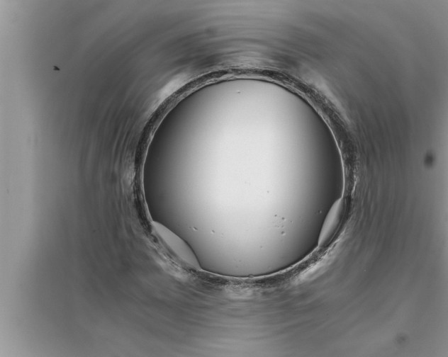 X0000095521065200712211258