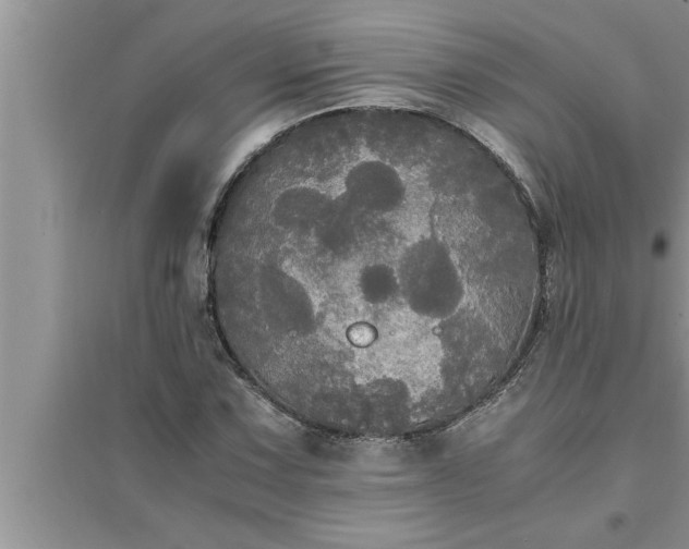 X0000095521067200712211257