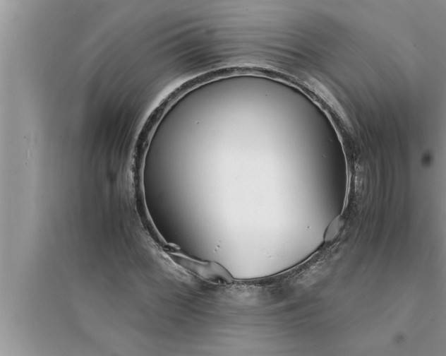 X0000095521068200712211257