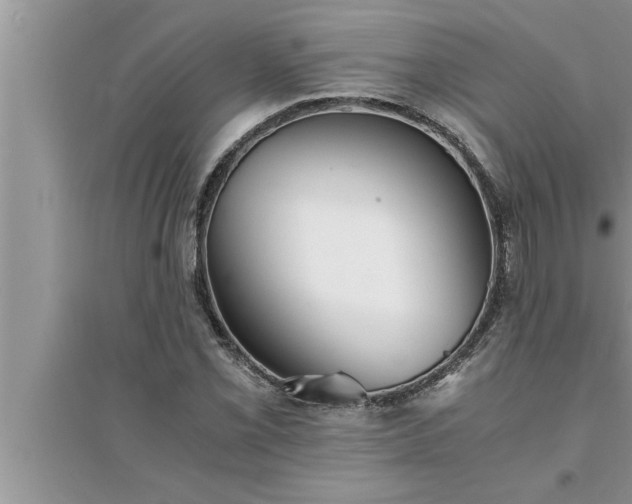 X0000095521069200712211257