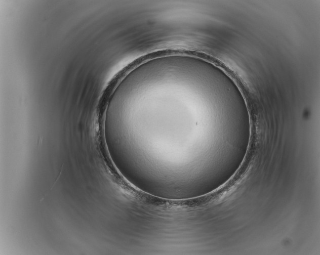 X0000095521070200712211257