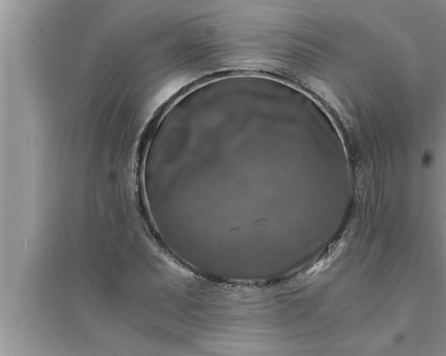 X0000095521071200712211257