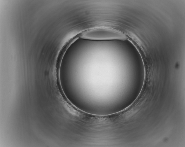 X0000095521072200712211257