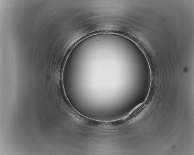 X0000095521073200712211257