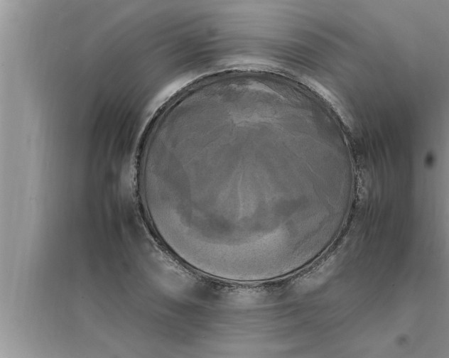 X0000095521074200712211257