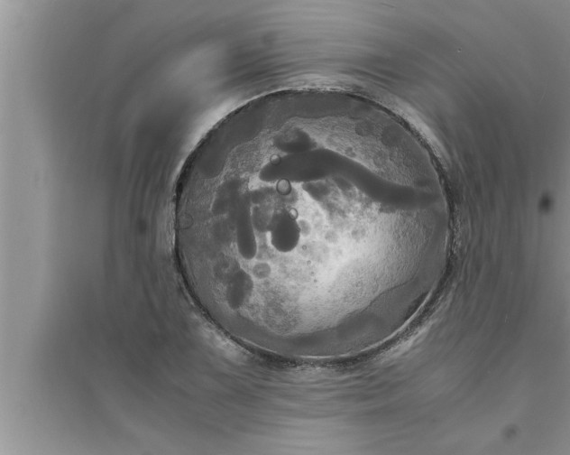 X0000095521075200712211257