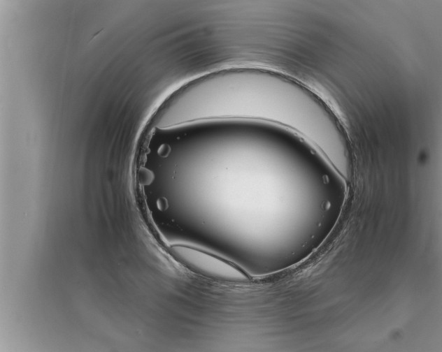 X0000095521076200712211257