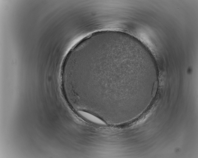 X0000095521077200712211257