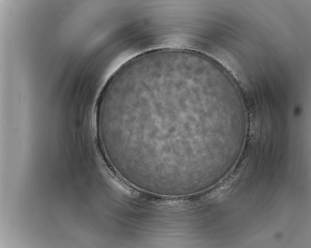 X0000095521078200712211257