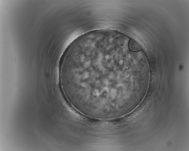 X0000095521079200712211257