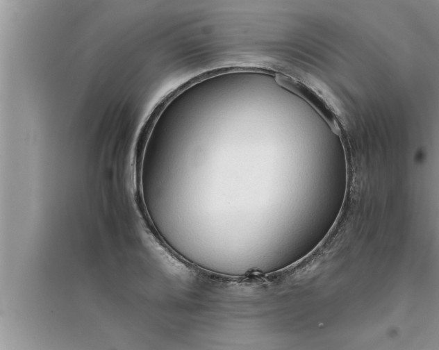 X0000095521080200712211257