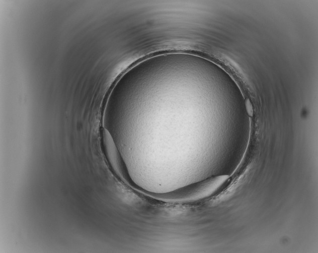 X0000095521081200712211257