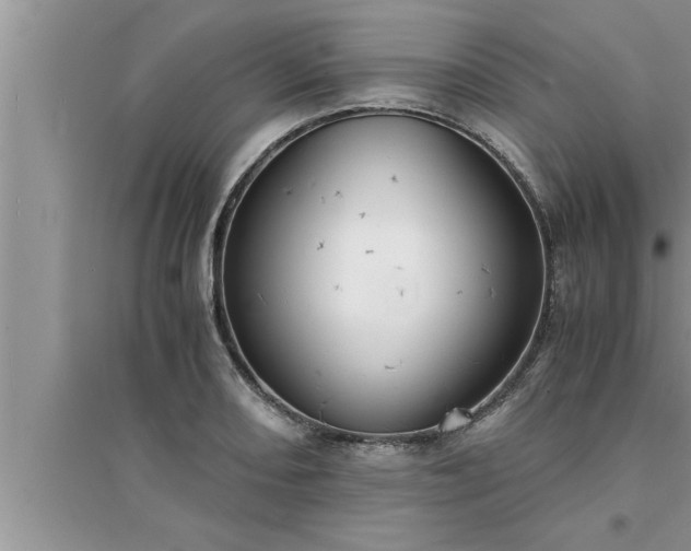 X0000095521082200712211257