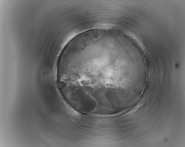 X0000095521083200712211257