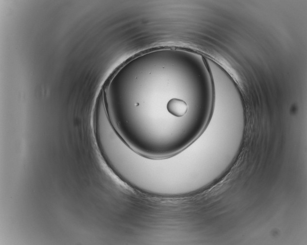 X0000095521084200712211257