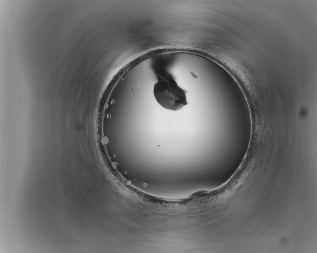 X0000095521085200712211257