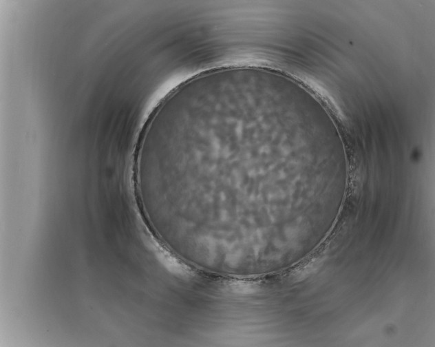 X0000095521086200712211257