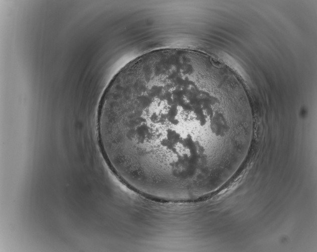 X0000095521087200712211257