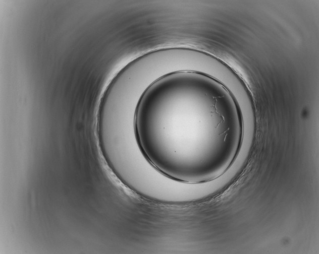 X0000095521088200712211257