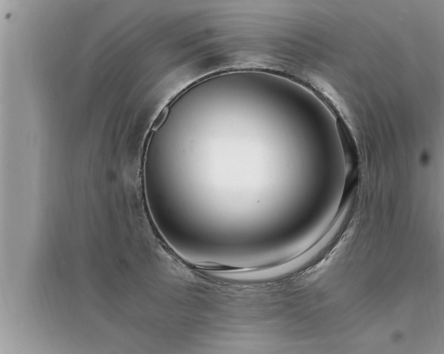 X0000095521089200712211257