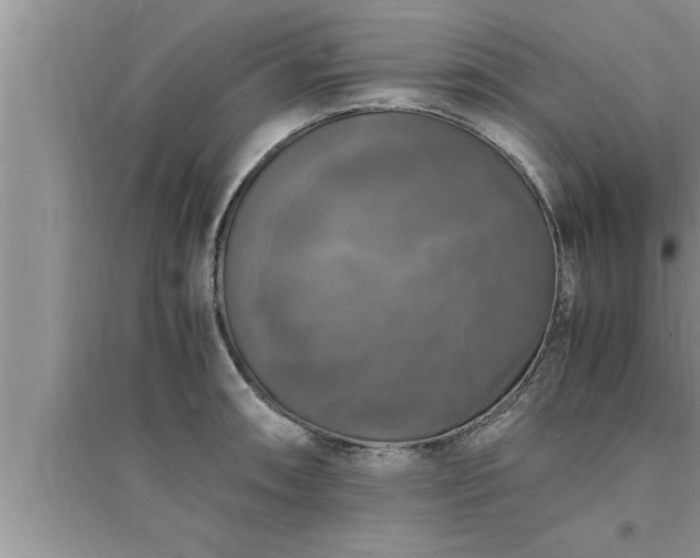 X0000095521090200712211257