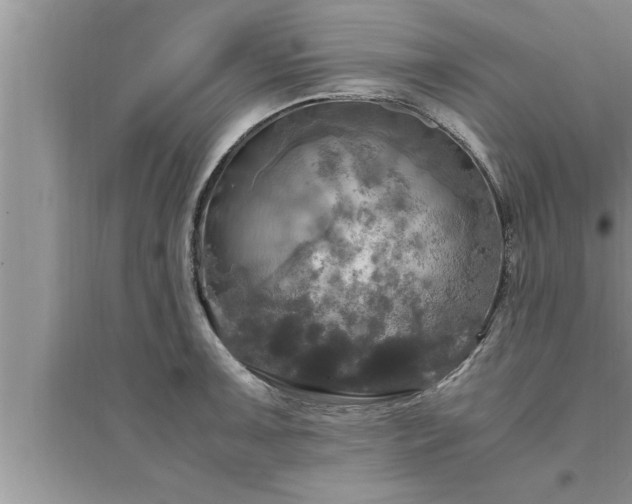 X0000095521091200712211257