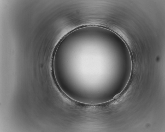 X0000095521093200712211257