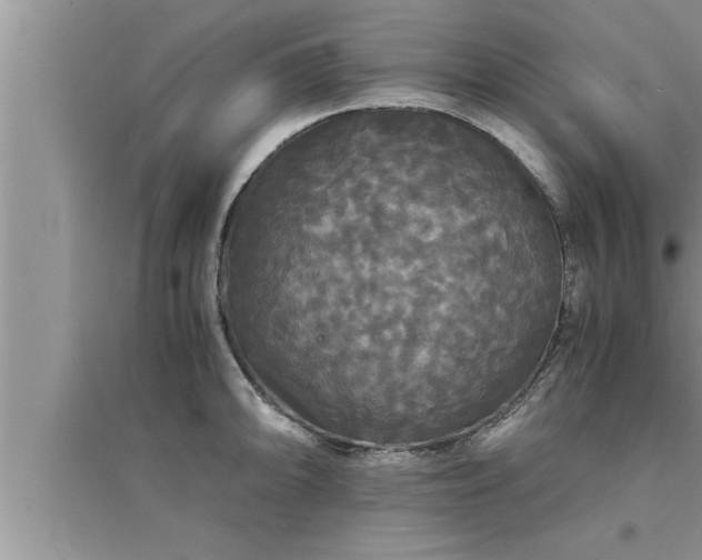 X0000095521094200712211257