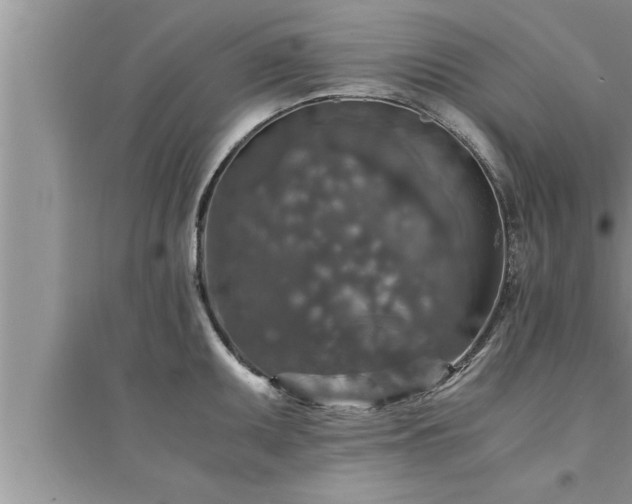 X0000095521095200712211257