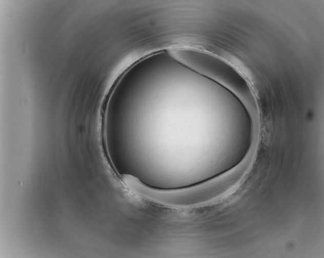 X0000095521096200712211257