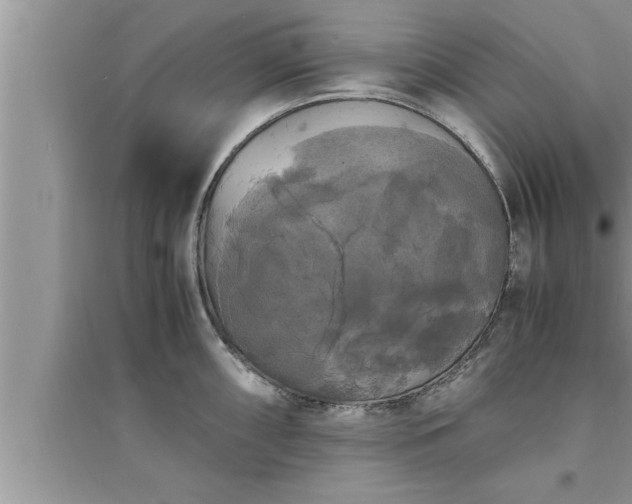 X0000095521098200712211257