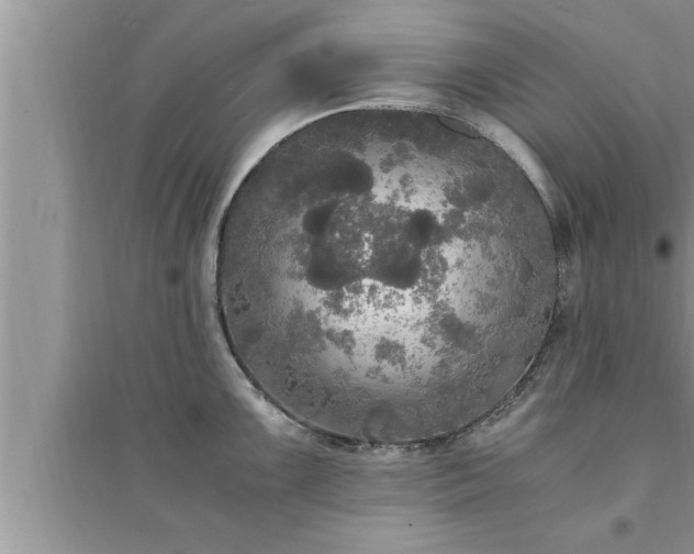 X0000095521099200712211257