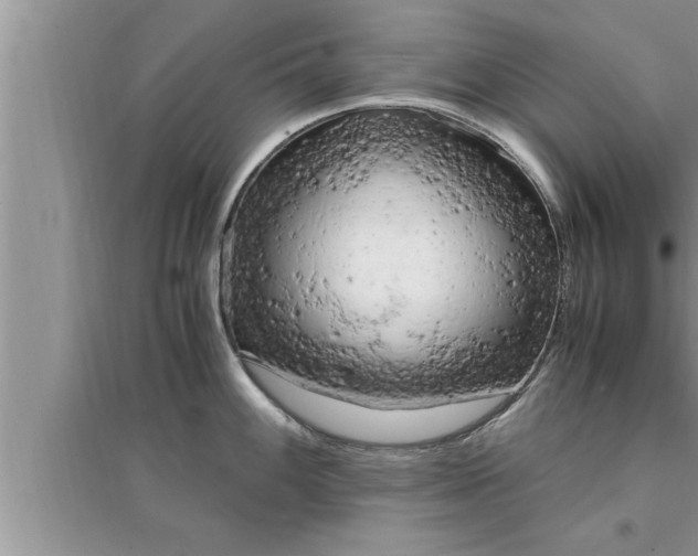 X0000095521100200712211257